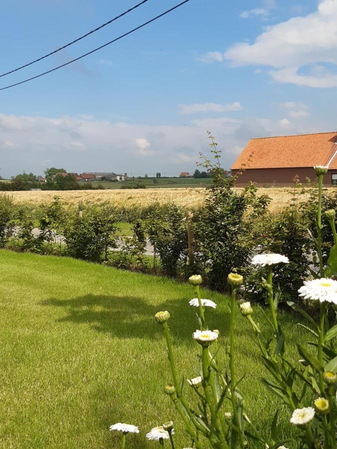 Vakantiehuis Zoetendaal Reningelst Exteriér fotografie