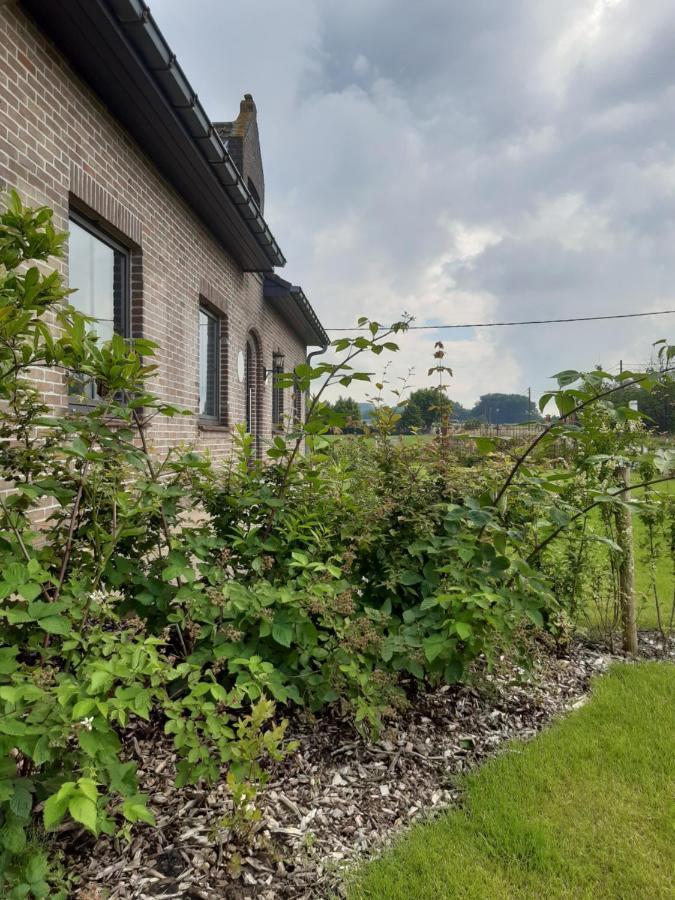Vakantiehuis Zoetendaal Reningelst Exteriér fotografie